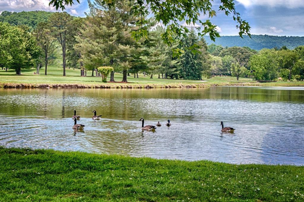 Etowah Valley Golf & Resort المظهر الخارجي الصورة